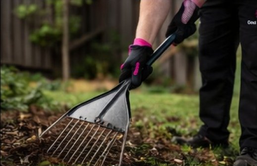 Deep yard reset cleanup