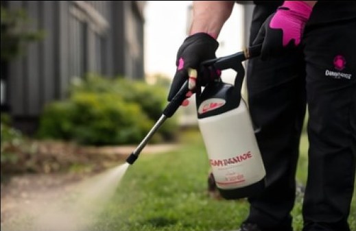 Flea and tick treatment