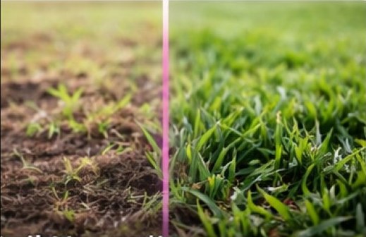 Soil neutralizer treatment